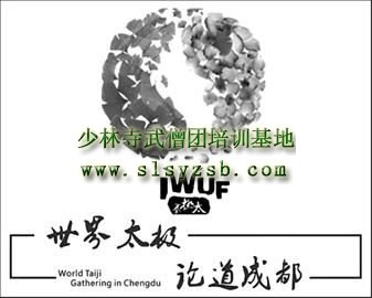 首届世界太极拳锦标赛在都江堰举办