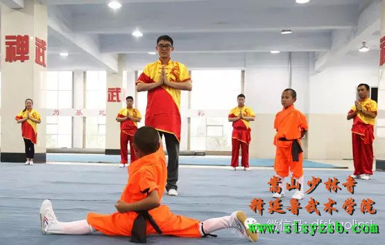 “第十届世界华裔杰出青年华夏行”参访团莅临释延鲁武术学院