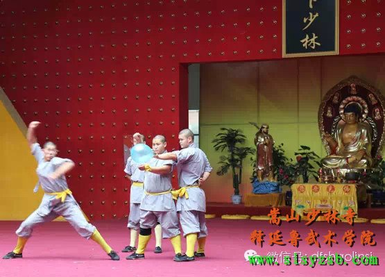 “第十届世界华裔杰出青年华夏行”参访团莅临释延鲁武术学院