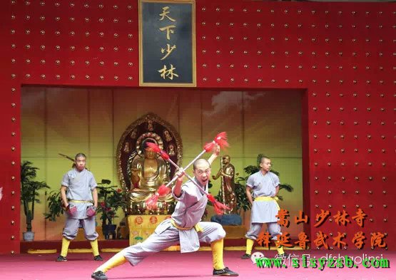 “第十届世界华裔杰出青年华夏行”参访团莅临释延鲁武术学院