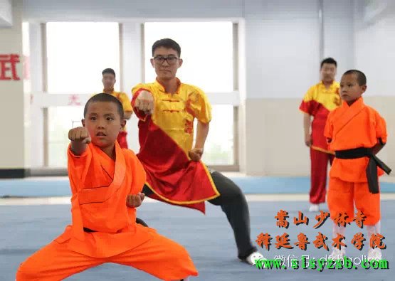 “第十届世界华裔杰出青年华夏行”参访团莅临释延鲁武术学院