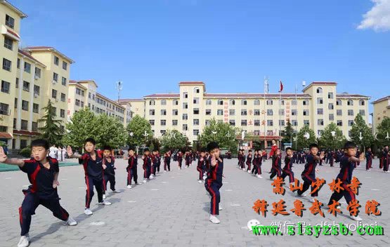 嵩山少林释延鲁武术学院学员正在认真学习少林功夫