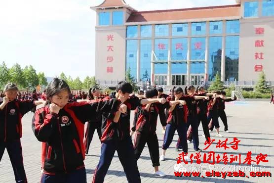 少林武校（少林延鲁武术学校）学员正在训练场上认真学习少林功夫