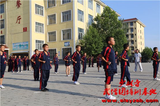 少林武校（少林延鲁武术学校）学员正在训练场上认真学习少林功夫